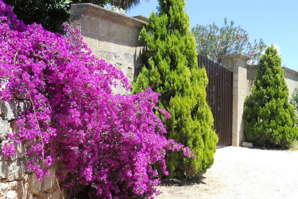 Casa Colonica Vila Gallipoli Exterior foto